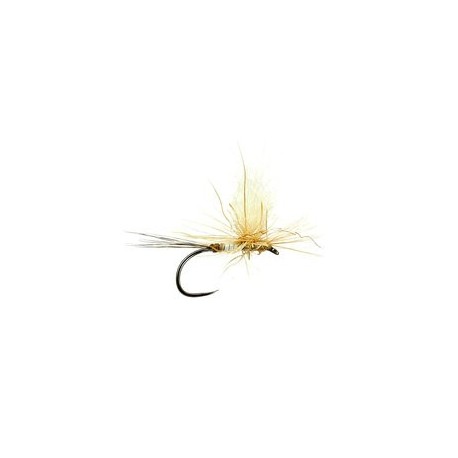 Iht Peccary Cream Bivisible Bl