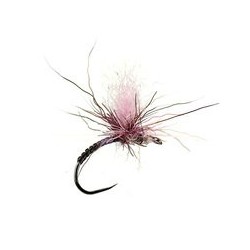 Iht Peccary Purple Bivisible Bl