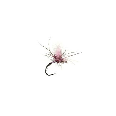 Iht Peccary Purple Bivisible Bl