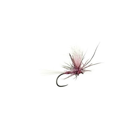 Iht Peccary Purple Straight Bl