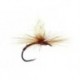 Iht Peccary Rusty Bl