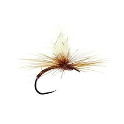 Iht Peccary Rusty Bl