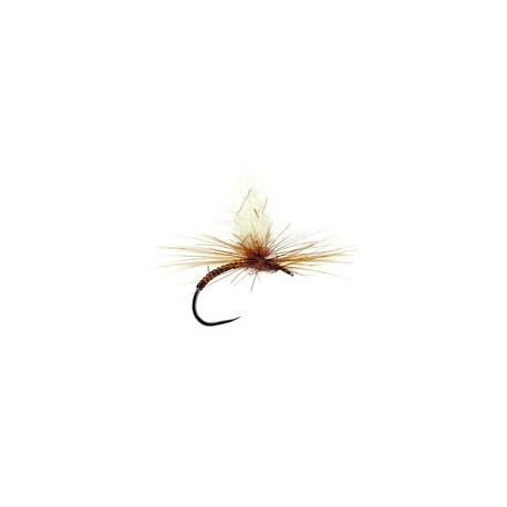 Iht Peccary Rusty Bl