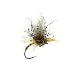 Iht Peccary Yellow Bivisible Bl