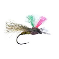 Italian Repfiber Sedge Bl