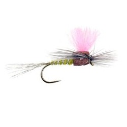 Light Olive High Viz Paradream Bl