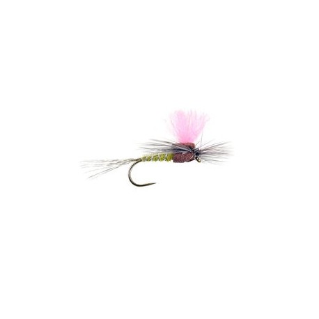 Light Olive High Viz Paradream Bl