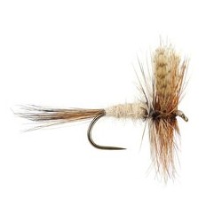 March Brown Bl