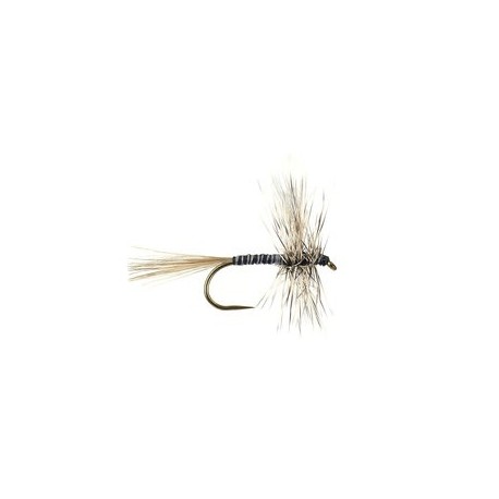 Mosquito Bl