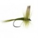 Olive Dun Bl