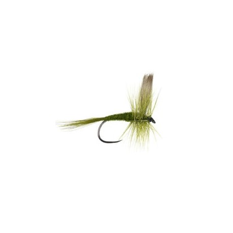 Olive Dun Bl