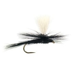 Parachute Black Gnat Bl