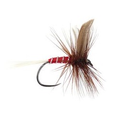 Red Spinner Bl