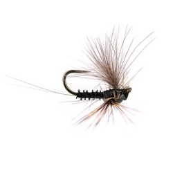 Reversed Black Quill Bl