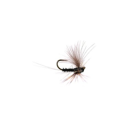 Reversed Black Quill Bl