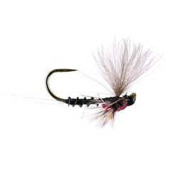 Reversed Black Quill V Bl