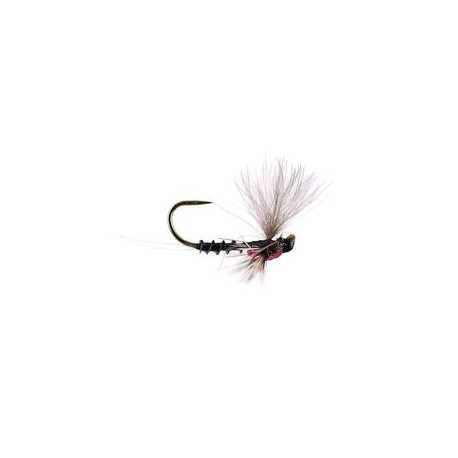 Reversed Black Quill V Bl