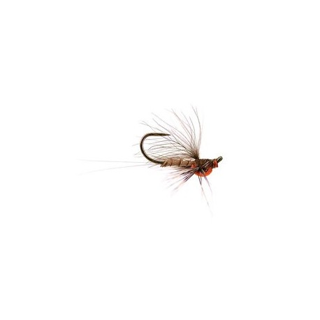 Reversed Brown Quill Bl