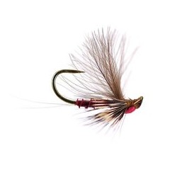 Reversed Claret Quill Bl