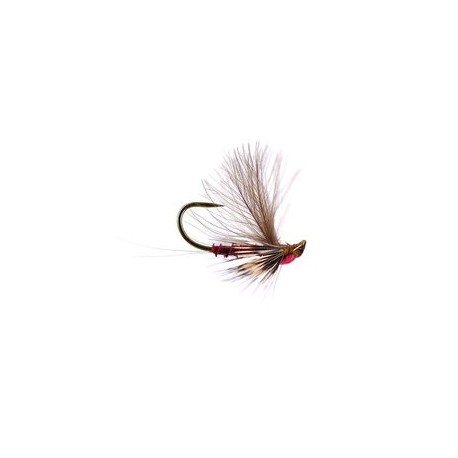Reversed Claret Quill Bl