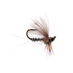 Reversed Grey Quill Bl