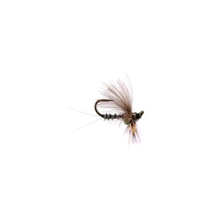 Reversed Grey Quill Bl