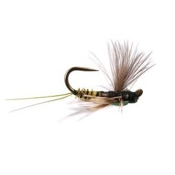 Reversed Olive Quill Bl