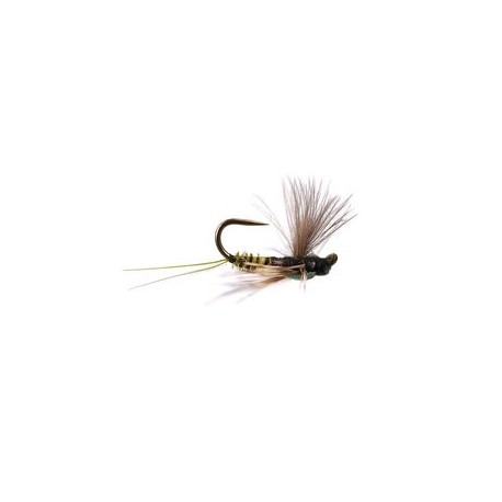 Reversed Olive Quill Bl