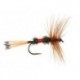 Royal Coachman Bl