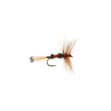 Royal Coachman Bl