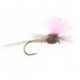 Salmon Tan High Viz Paradream Bl