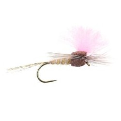 Salmon Tan High Viz Paradream Bl