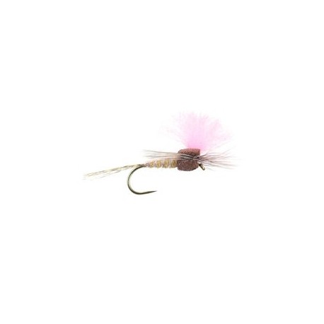 Salmon Tan High Viz Paradream Bl
