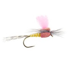 Yellow High Viz Paradream Bl