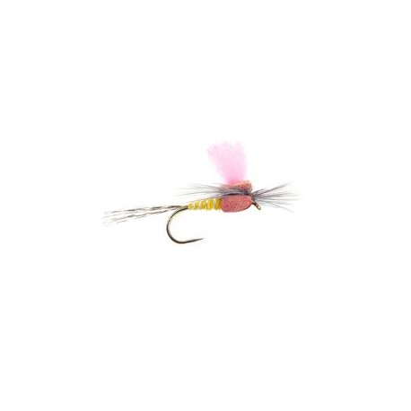 Yellow High Viz Paradream Bl