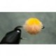 Apricot Steelhead Orange Dot