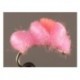 Blood Dot Baby Pink Flame Dot