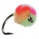 Clown Egg Fly