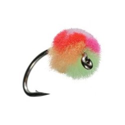Clown Egg Fly