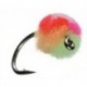 Clown Egg Fly