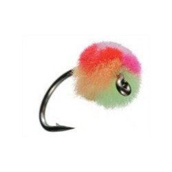 Clown Egg Fly