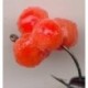 Cluster Egg Red