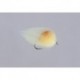 Dark Roe Nuke Egg