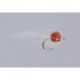 Dark Roe Veil Z Egg