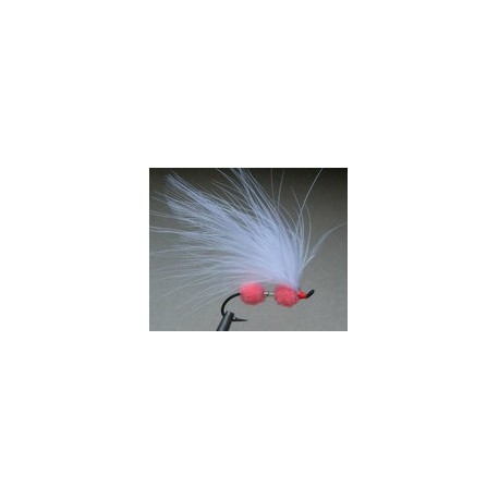 Double Egg Sperm Fly