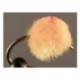 Egg Fly Flame