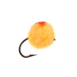 Egg Orange