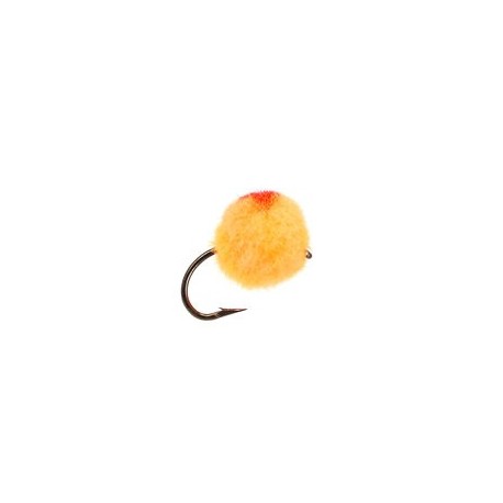 Egg Orange