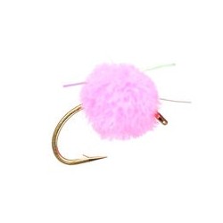 Egg Pink Flash