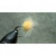 Halo Nuke Egg Golden Egg